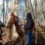 LA MUNICIPALIDAD DE USHUAIA REALIZÓ UNA JORNADA ITINERANTE DE CHIPEO DE EQUINOS